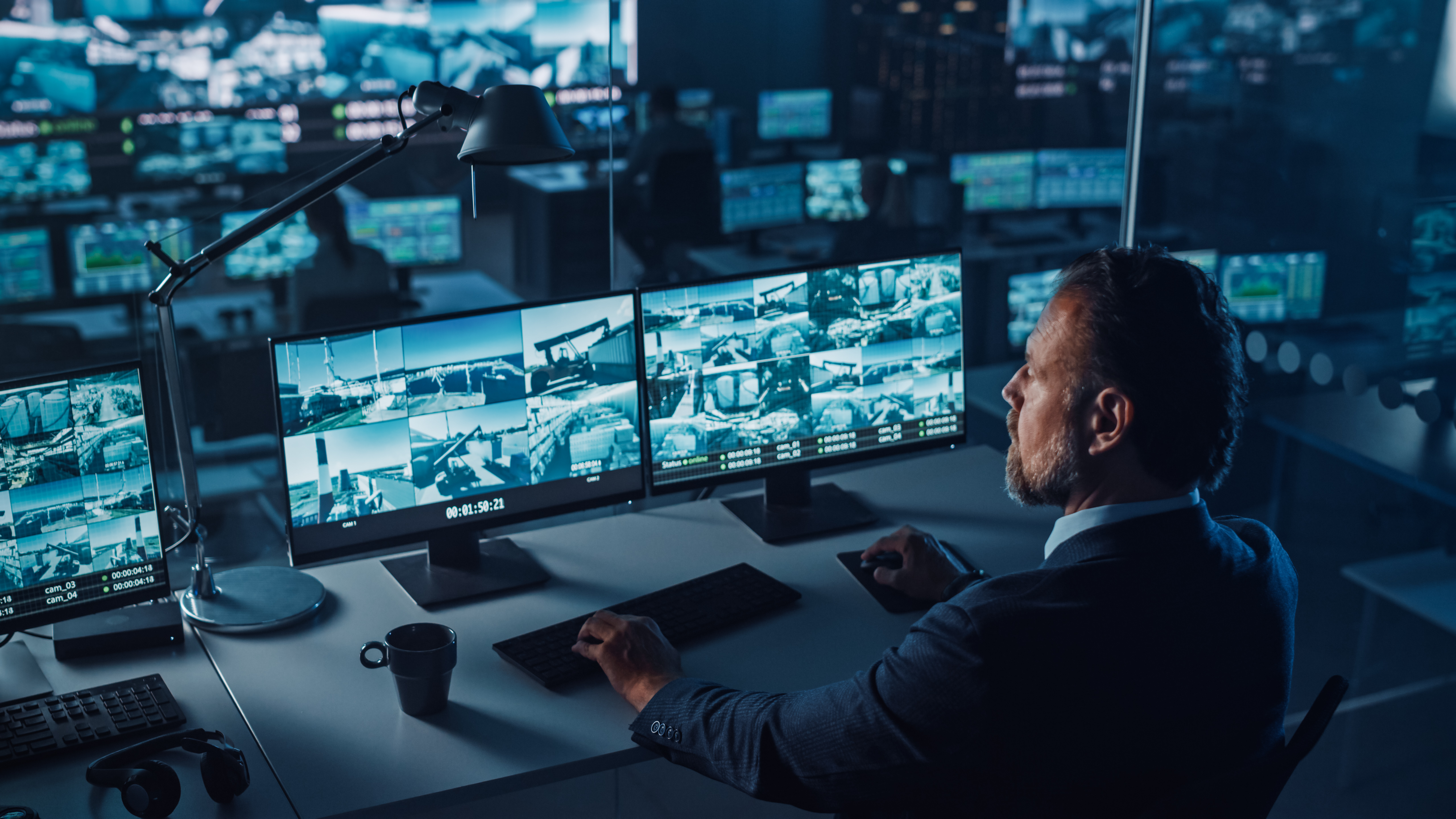 Security surveillance monitoring